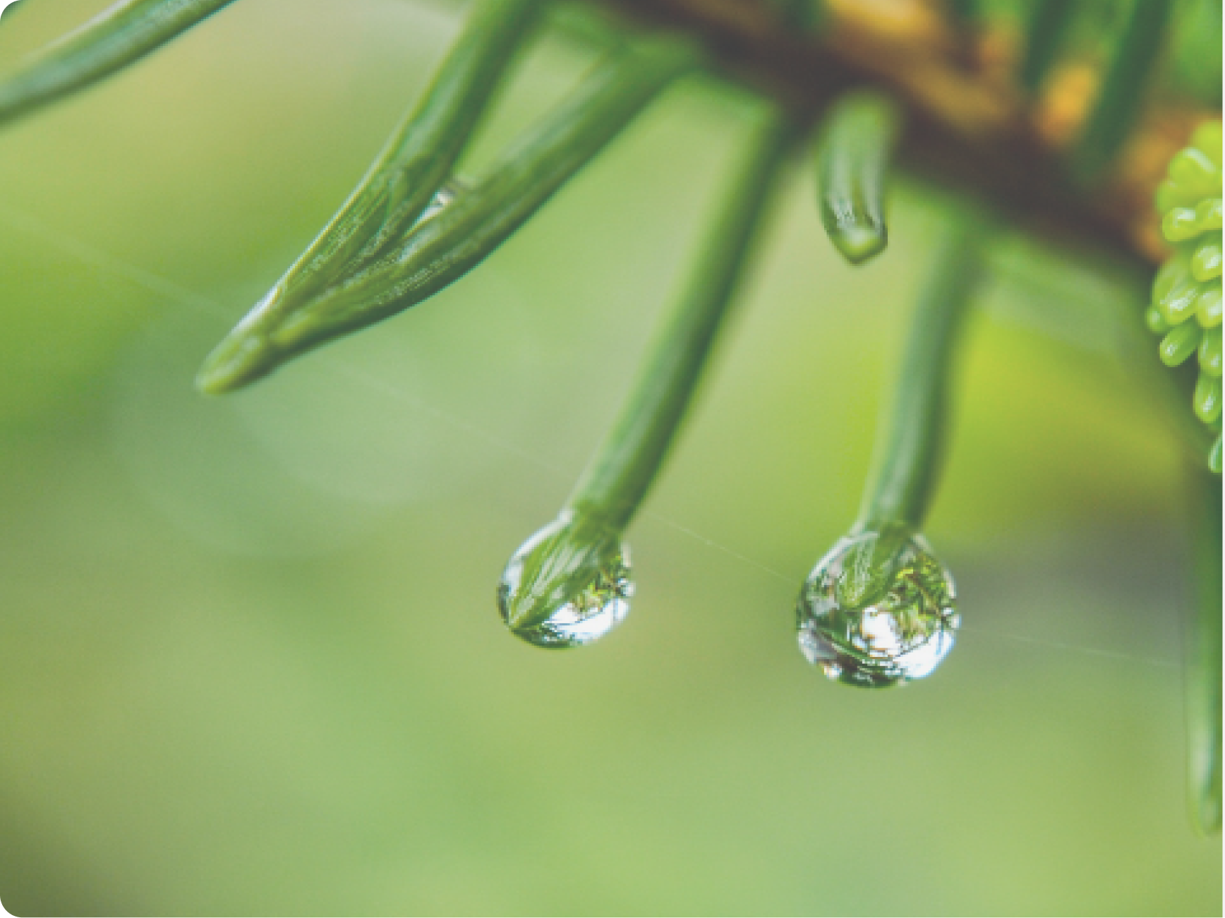 水が滴り落ちるイメージ